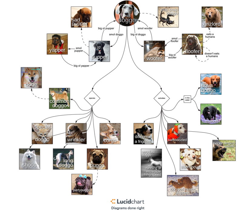 doggo print as colour slim fit paper tee profits donated to pupper doggo chart