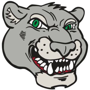 cougar 06